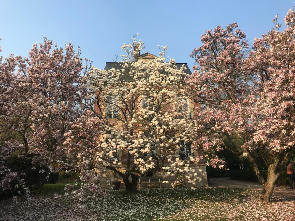 Aumont-en-Halatte L'Atelier Des Magnolias Bed & Breakfast エクステリア 写真